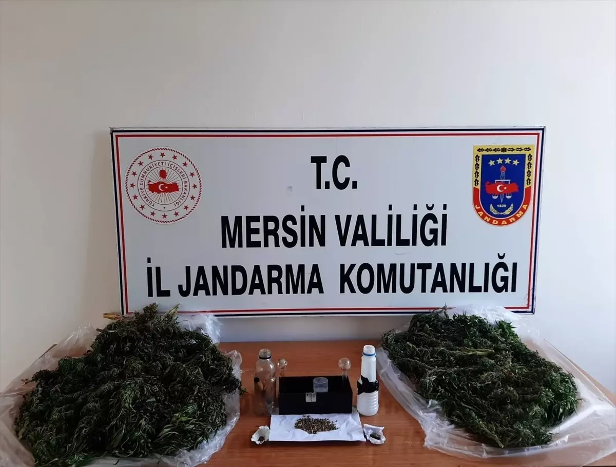 Mersin\'de 6 kilo 915 gram esrar ve 1785 kök Hint keneviri ele geçirildi, 2 şüpheli gözaltına alındı