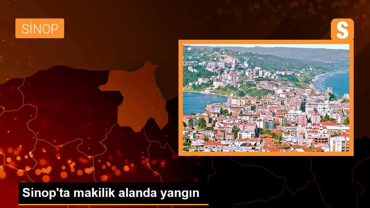 Sinop\'ta makilik alanda yangın