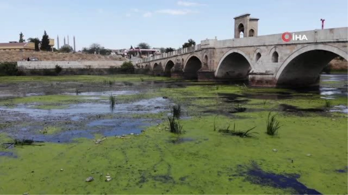 Tunca Nehri kirlilik nedeniyle yeşile büründü