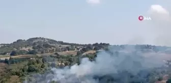 Yalova'da çıkan anız yangını kontrol altına alındı