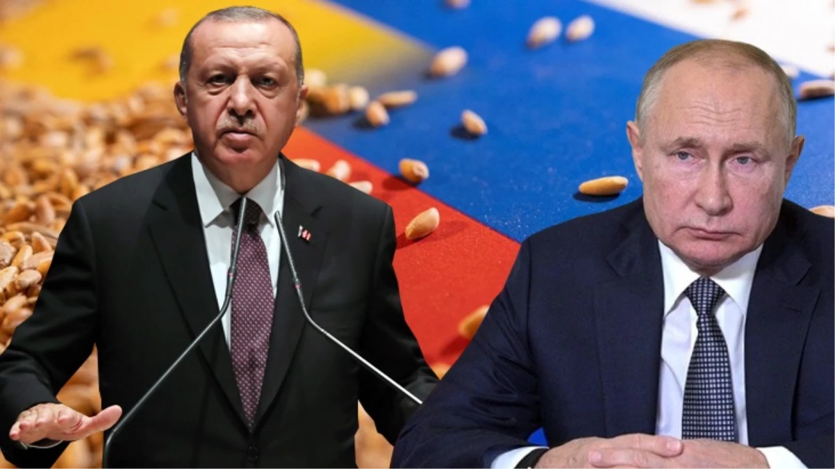 Cumhurbaşkanı Erdoğan, tahıl krizinin çözümü için devrede! Soçi\'ye çıkarma yapacak