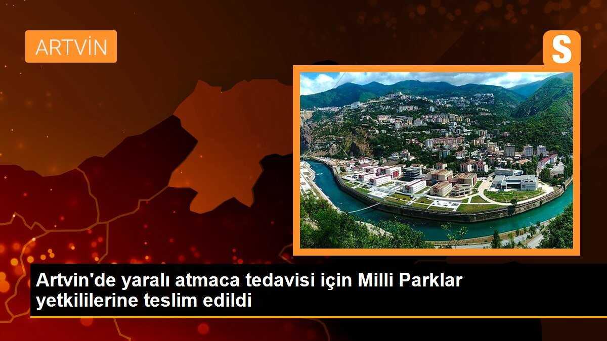 Artvin\'de yaralı atmaca tedavisi için Milli Parklar yetkililerine teslim edildi