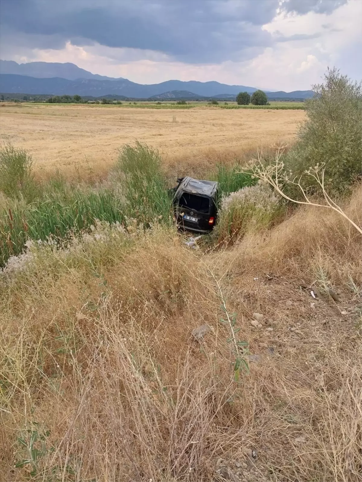 Beyşehir\'de Akdeniz Meyve Sineği Zararlısı İle İlgili Çalışma Başlatıldı