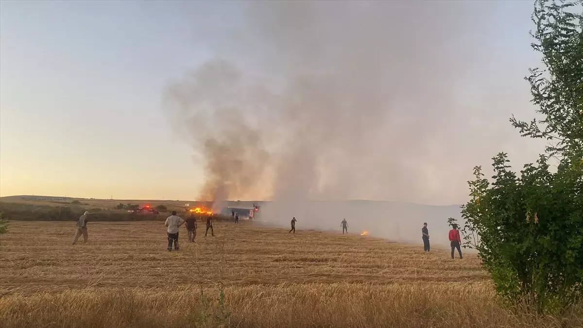 Çankırı\'da çıkan yangında 300 dekar tarım arazisi zarar gördü