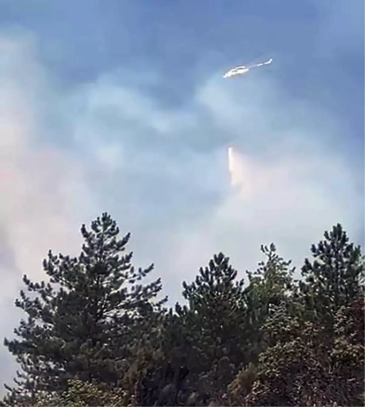 Çankırı'da orman yangını (2)