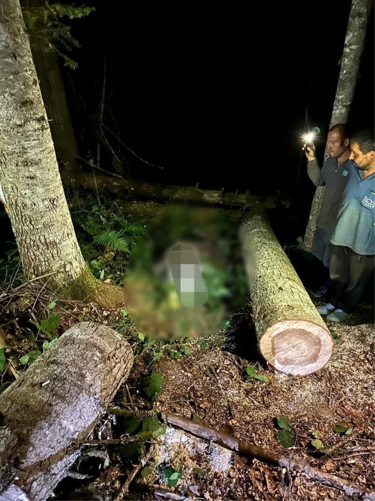 Orman İşçisi Kestiği Ağacın Altında Hayatını Kaybetti