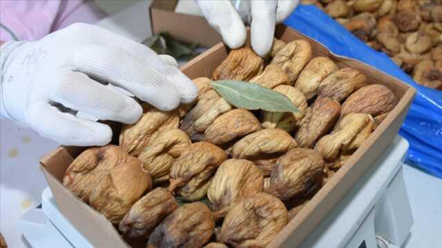 Kuru incir ihracatı son 11 ayda ülkeye 241 milyon dolar kazandırdı Kuru incir ihracatı son 11 ayda ülkeye 241 milyon dolar kazandırdı