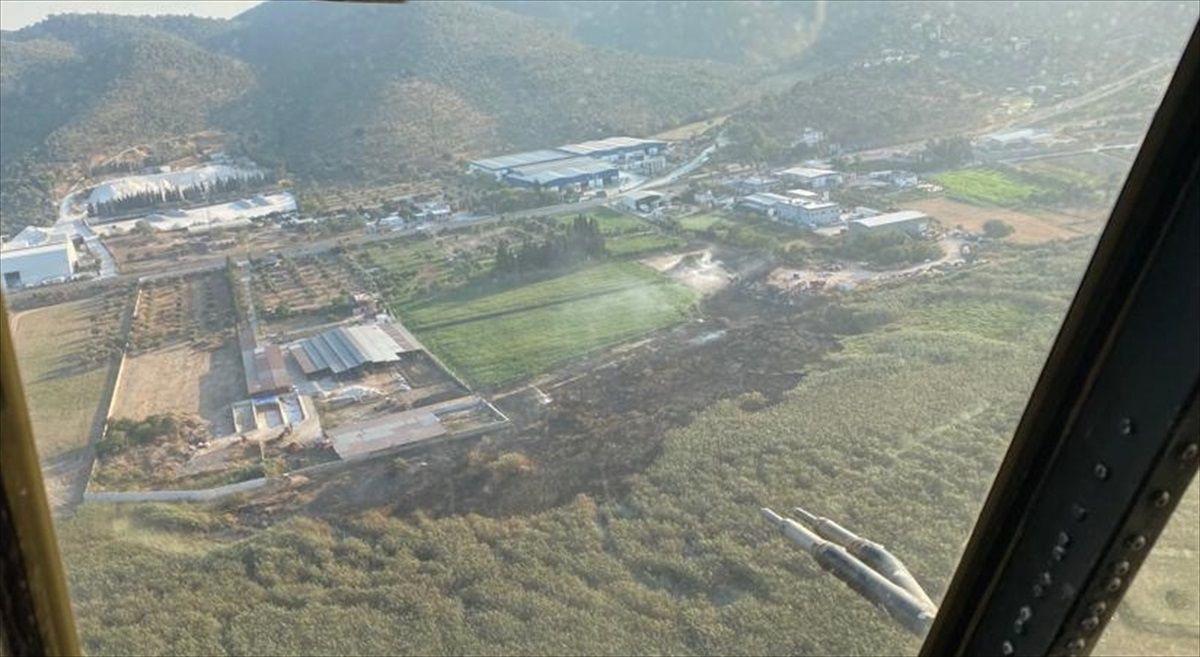 Muğla\'nın Milas ilçesinde tarım arazisinde çıkan yangına müdahale sürüyor