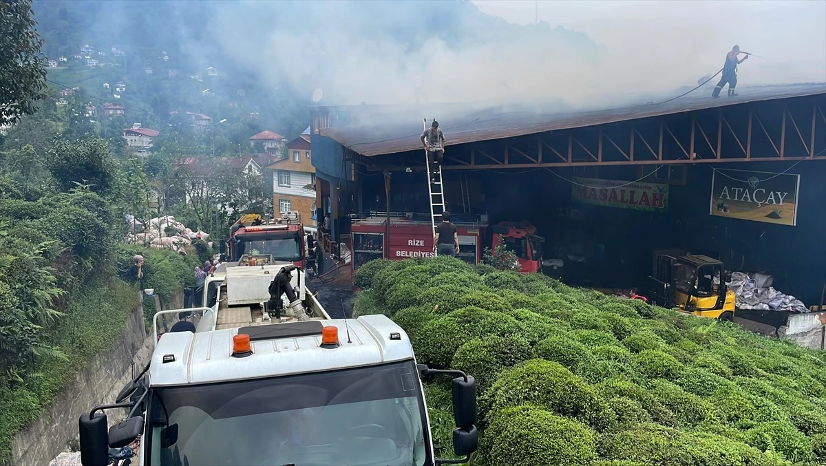 Rize\'de çay fabrikasında çıkan yangında bir kişi dumandan etkilendi