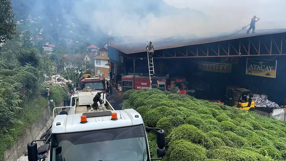 Rize\'de çay fabrikasında çıkan yangında bir kişi dumandan etkilendi