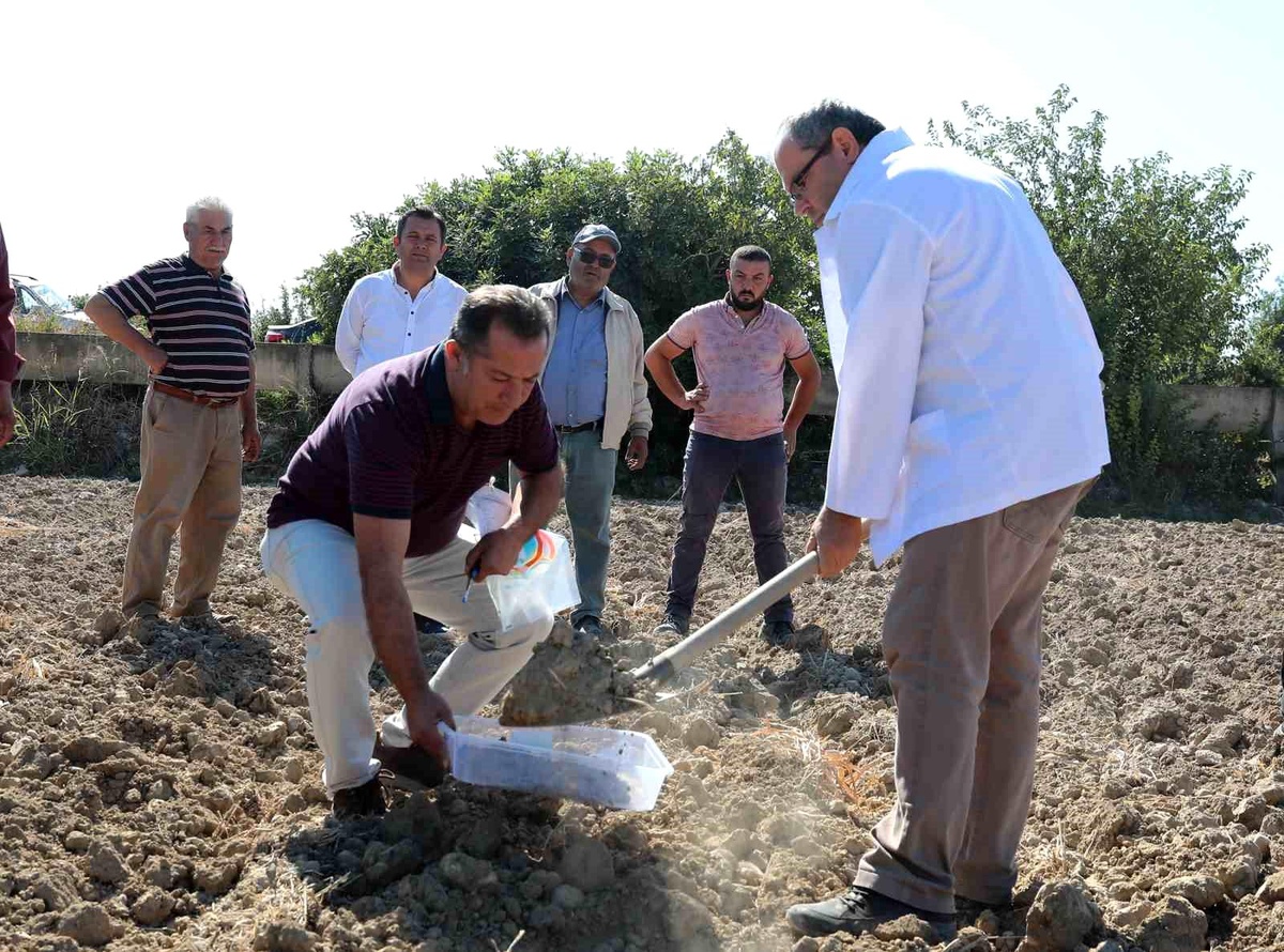 Denizli Büyükşehir Belediyesi Çiftçilere Toprak Analizi Desteği Sağlıyor