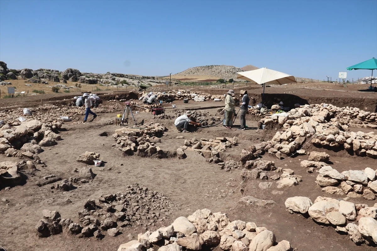 Çayönü Höyüğünde Neolitik Döneme Ait 5 Mezar Daha Bulundu