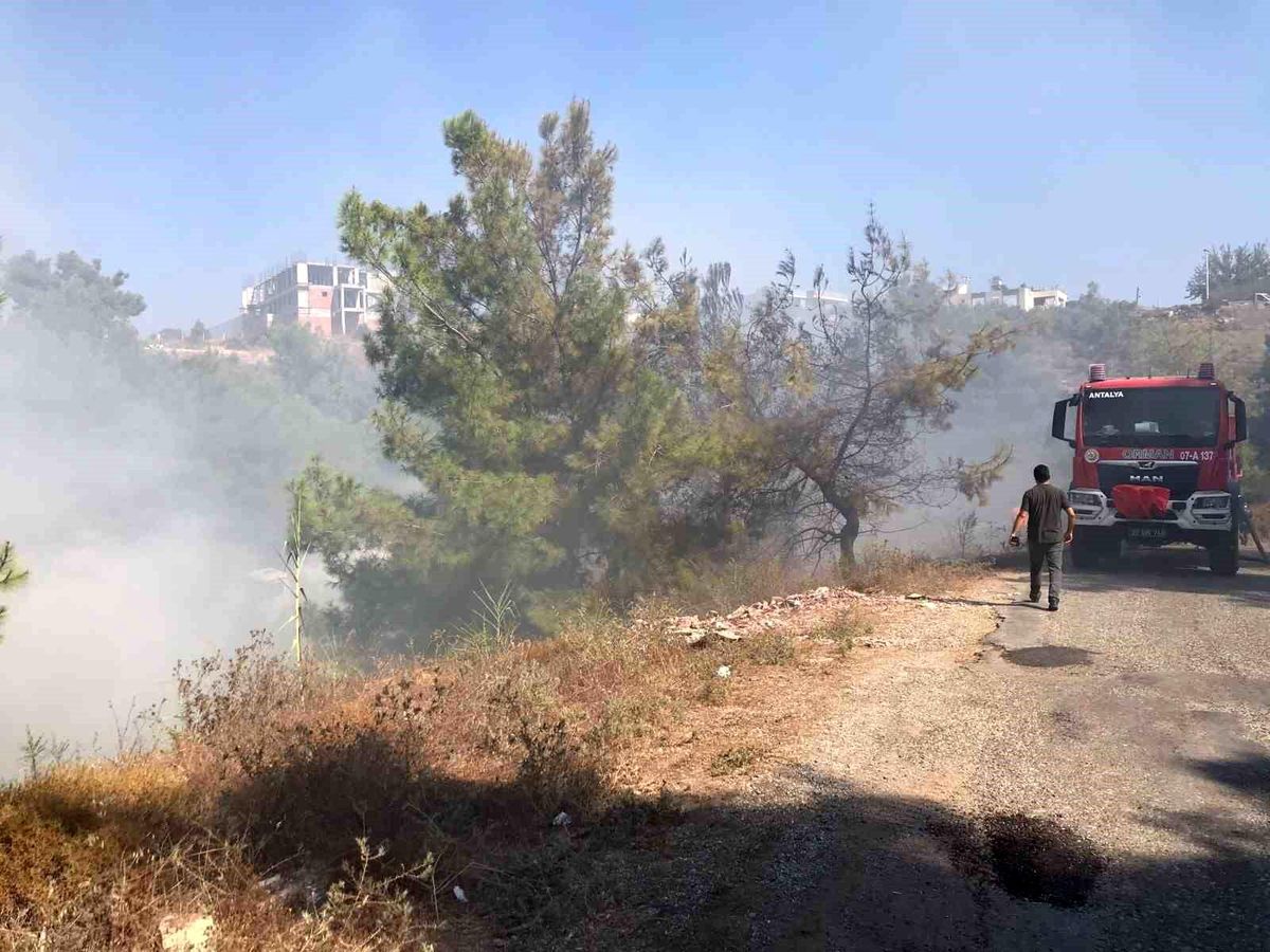 Manavgat\'ta çöp dökülen hazine arazisinde yangın çıktı