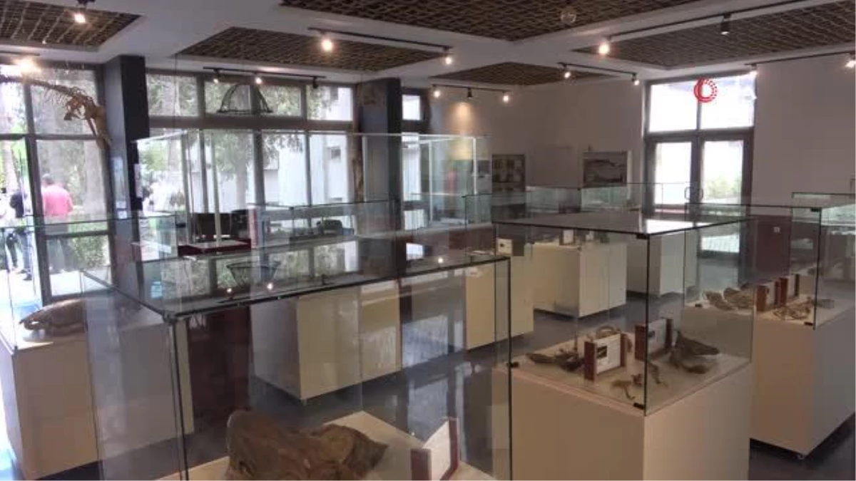 Mersin\'de Deniz Canlıları Müzesi Açılıyor