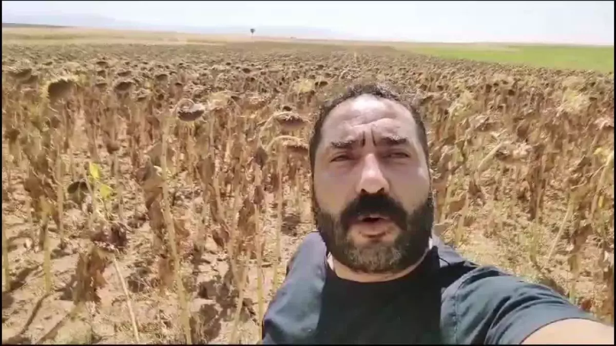 Konyalı Çiftçi Üreticilerin Fiyat Tepkisi