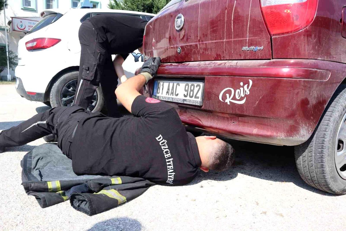 Düzce Belediyesi İtfaiye Müdürlüğü, Egzozuna Sıkışan Kediyi Kurtardı