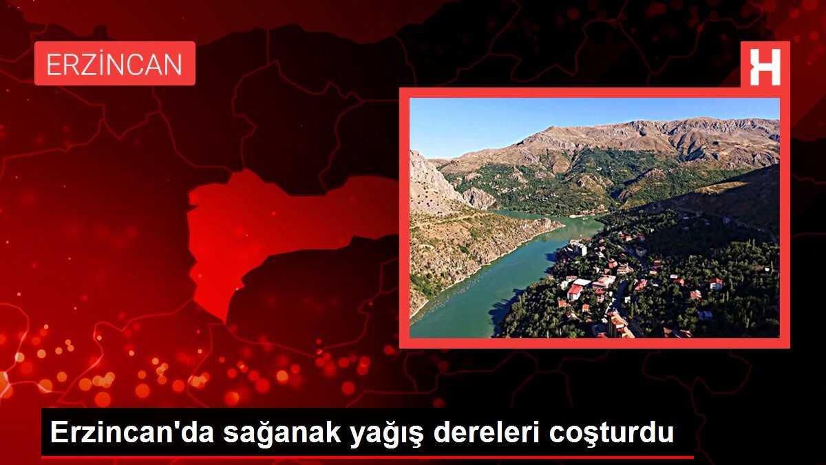 Erzincan'da sağanak yağış dereleri coşturdu
