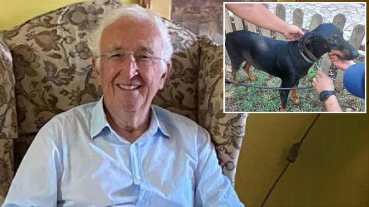 Sır perdesi aralanıyor! Kayıp ekonomistin 74 gün sonra eve dönen köpeğiyle ilgili çarpıcı detay