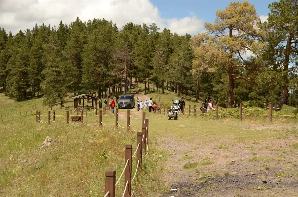 Kars\'taki "Keklik Deresi Ekoturizm Alanı"nın genişletilmesi talep edildi