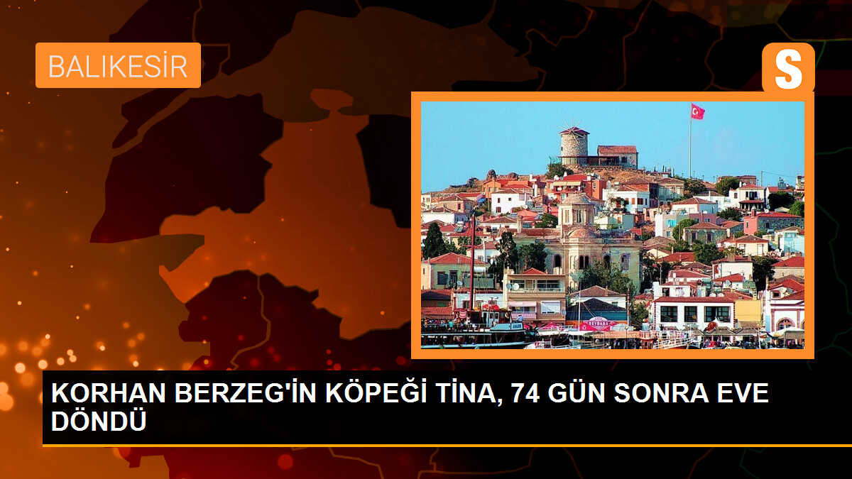 Kaybolan yaşlı adamın köpeği evine döndü