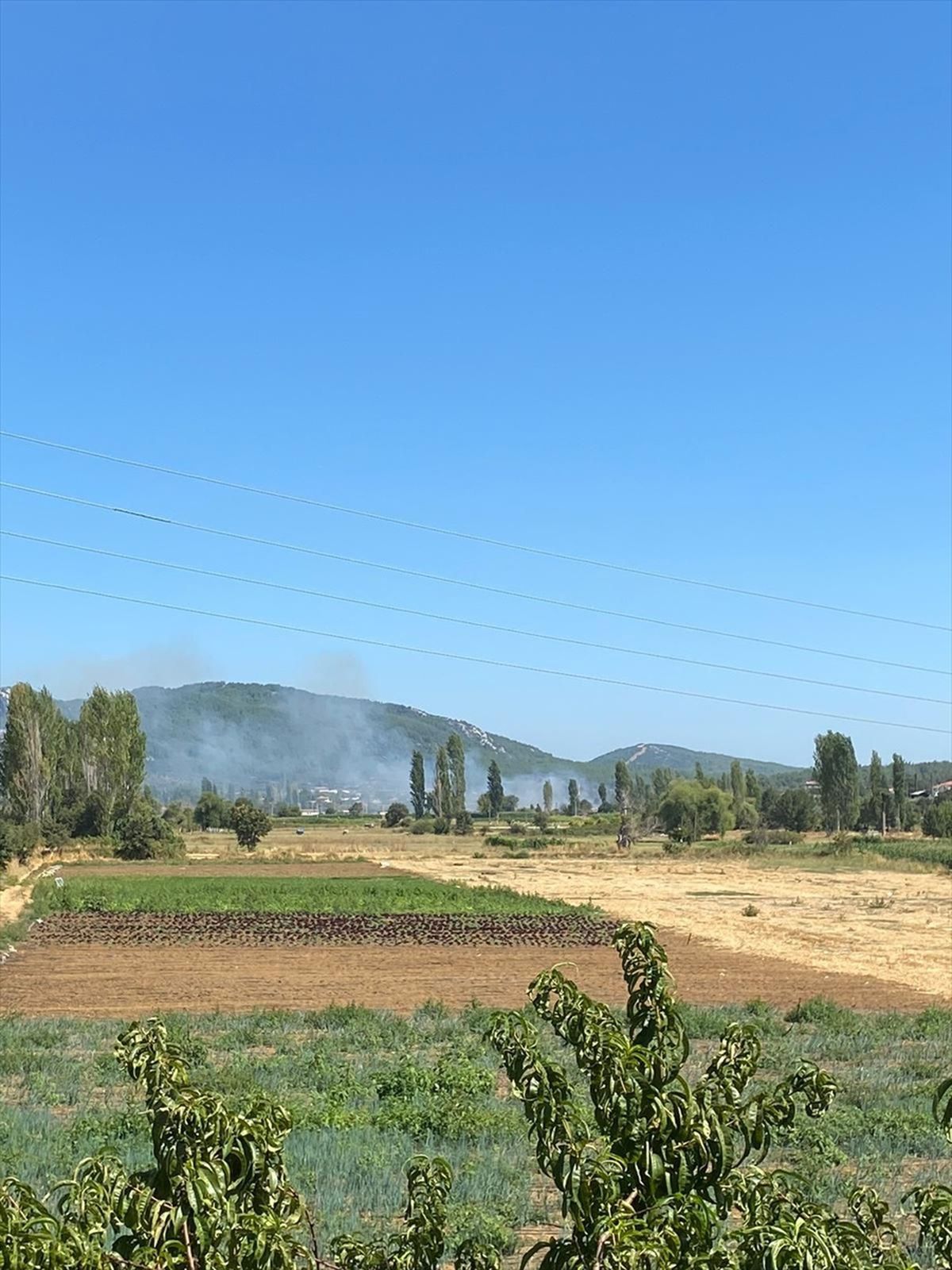 Muğla\'da Tarım Arazisinde Yangın: 1 Hektar Alan Zarar Gördü