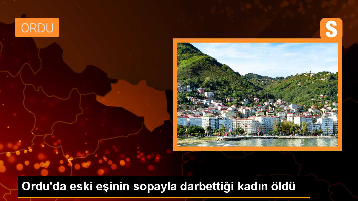 Ordu\'da eski eşinin sopayla darbettiği kadın hayatını kaybetti