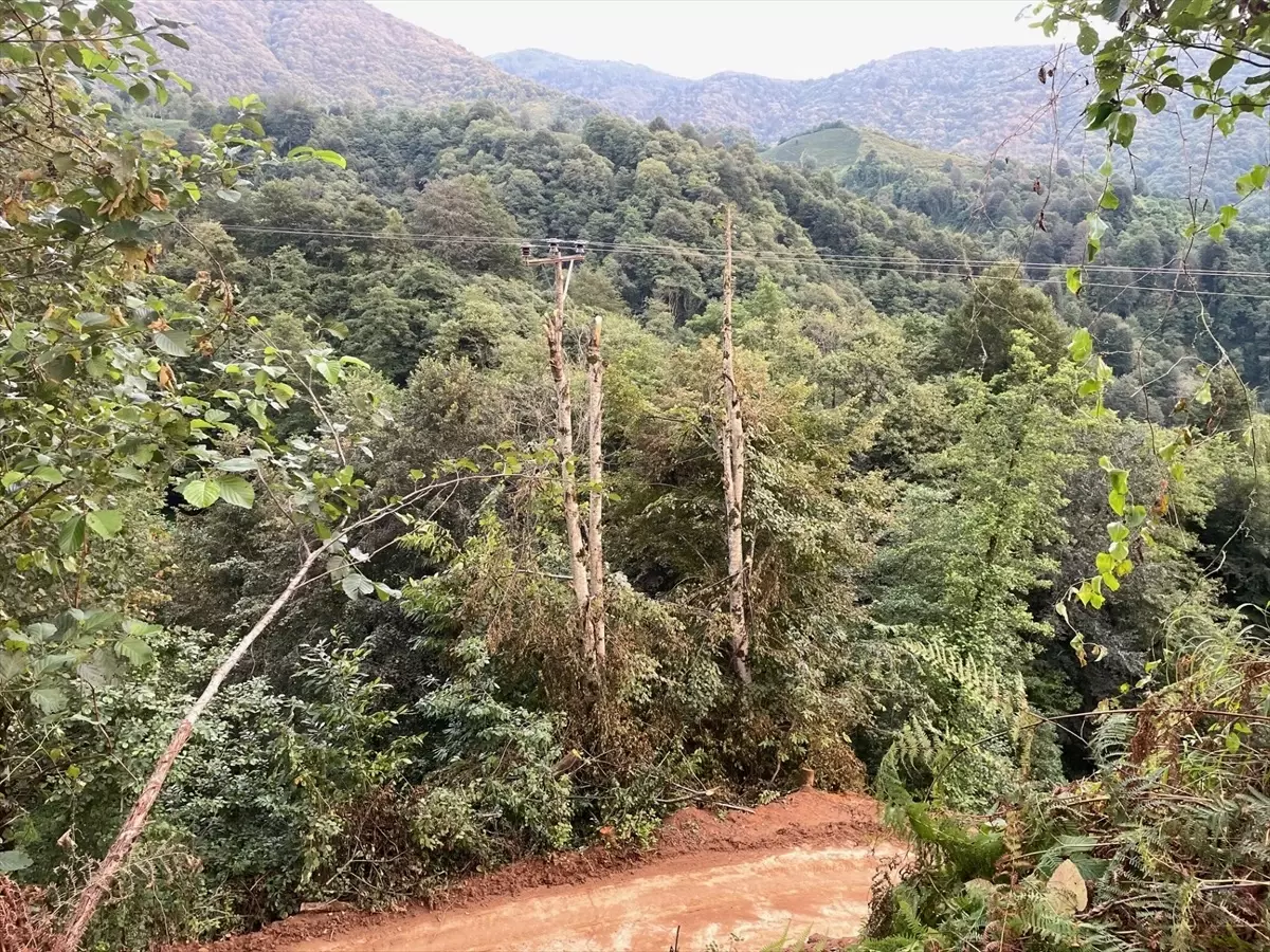 Rize\'de Şiddetli Yağışlar Sonrası 39 Konut Boşaltıldı