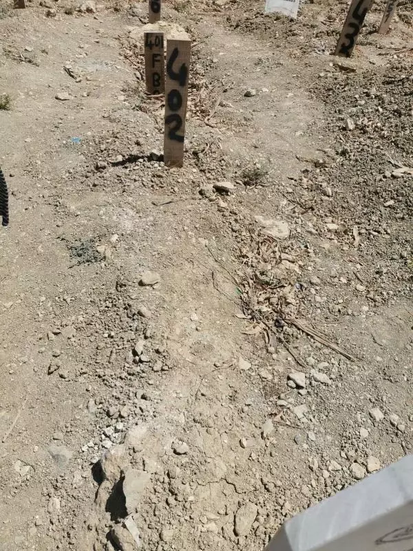 Depremde kaybolan çocuğun cenazesi kimsesizler mezarlığında bulundu cenazesi Ukrayna'ya gönderilecek