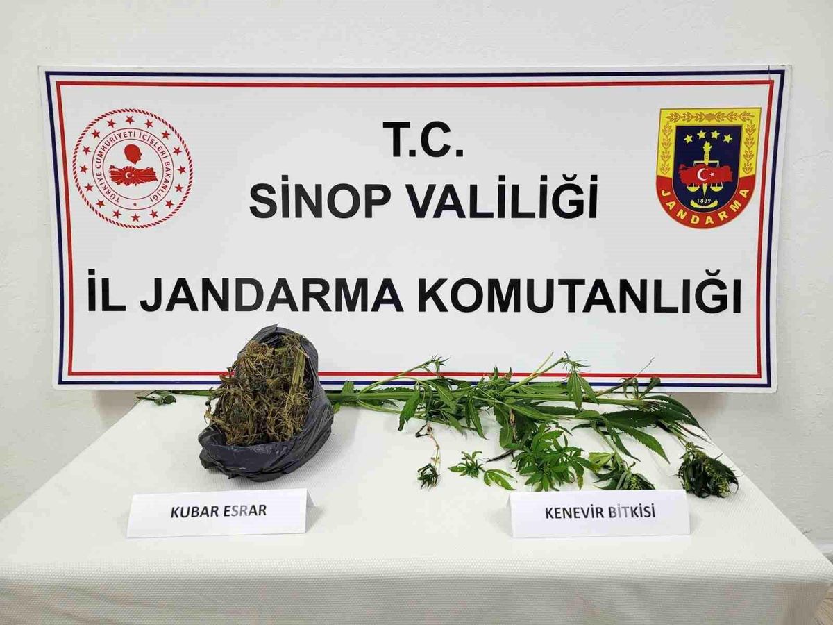 Sinop\'ta Uyuşturucu Operasyonu: 5 Kök Kenevir ve 204 Gram Esrar Ele Geçirildi