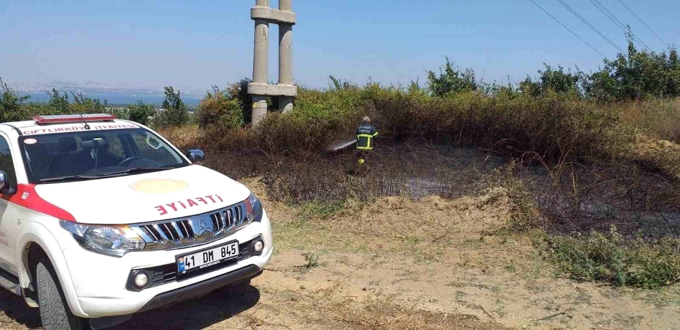 Yalova\'da Çiftlikköy ilçesinde arazi yangını söndürüldü