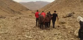 Dağlık bölgede doğum yapan kadın UMKE ekipleri tarafından ambulansa taşındı