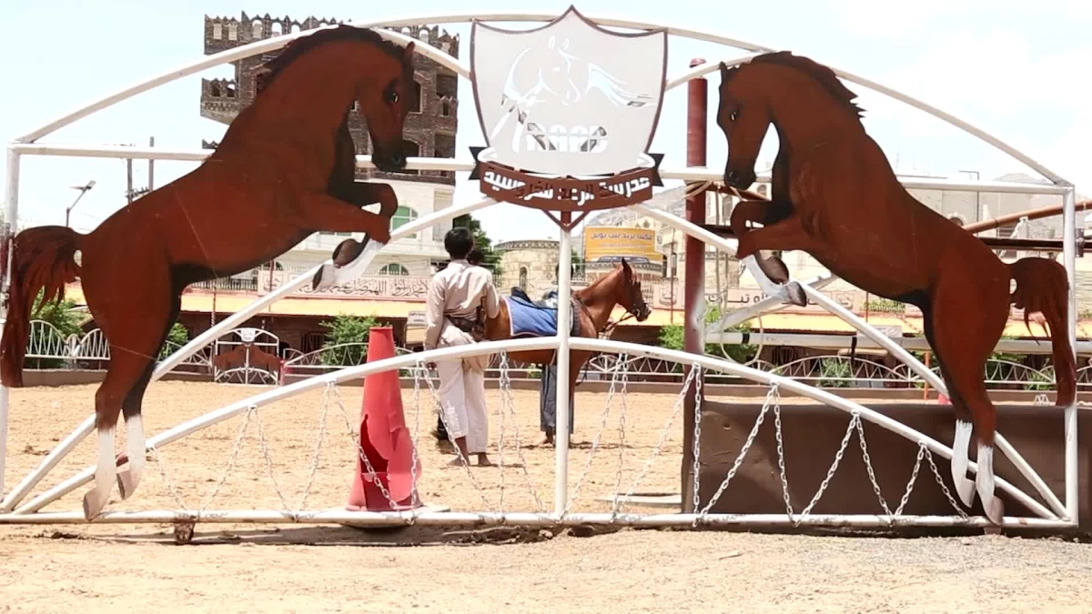Yemen\'deki Arap atlarının sağlığı sıcak hava dalgasıyla tehdit altında