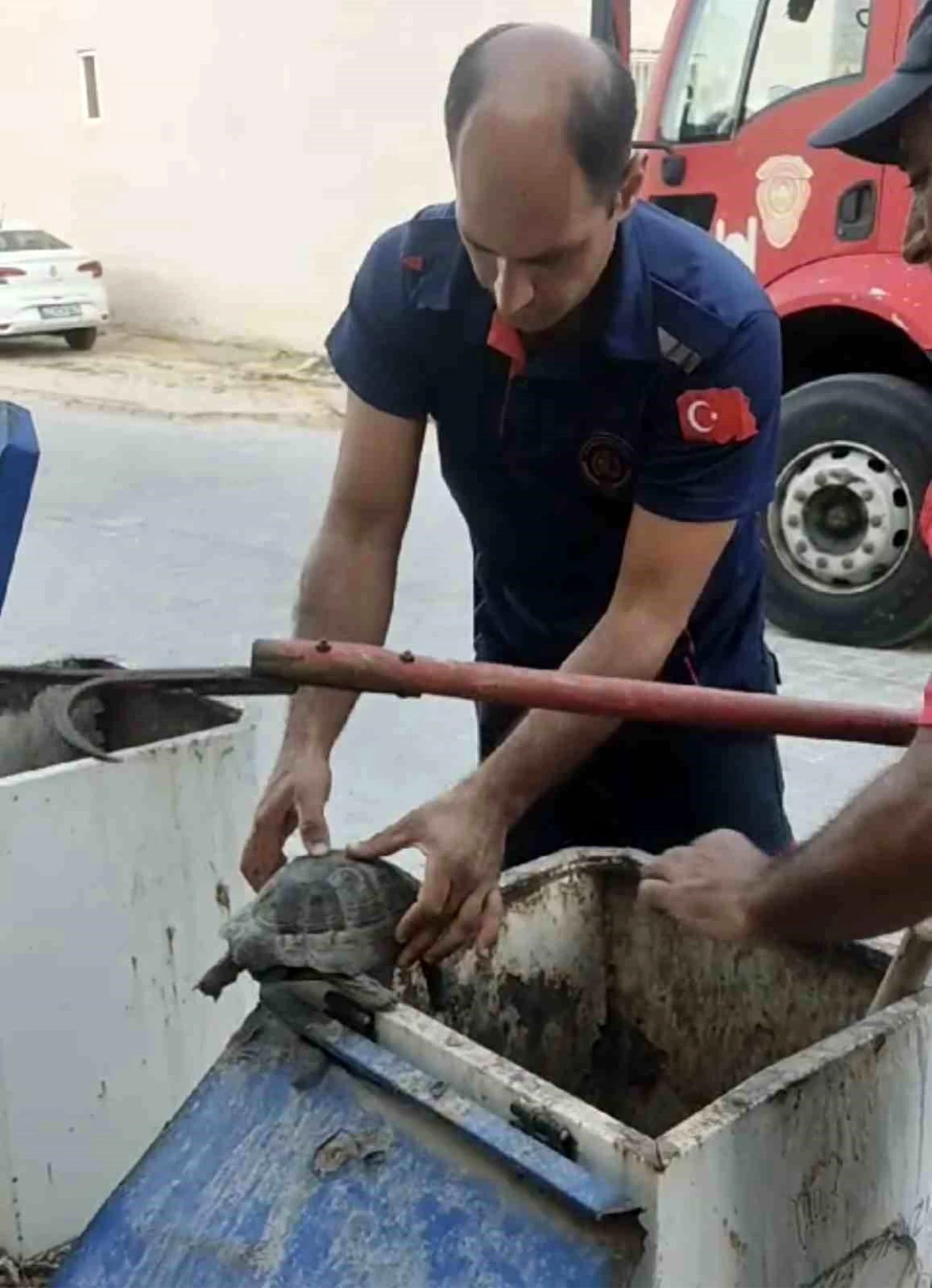 Mardin\'de Yeraltı Çöp Konteynerine Atılan Kaplumbağa İtfaiye Tarafından Kurtarıldı