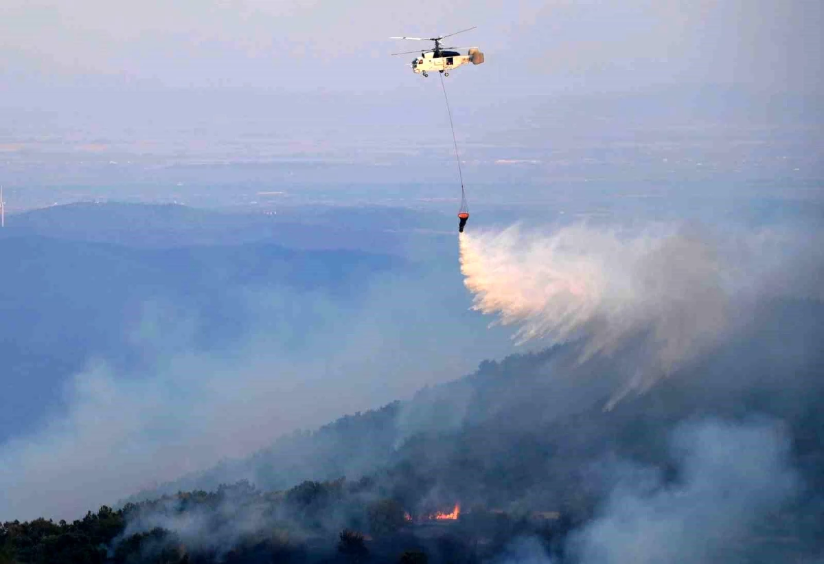 Yunanistan\'daki Orman Yangınları Avrupa Birliği\'nin En Büyüğü