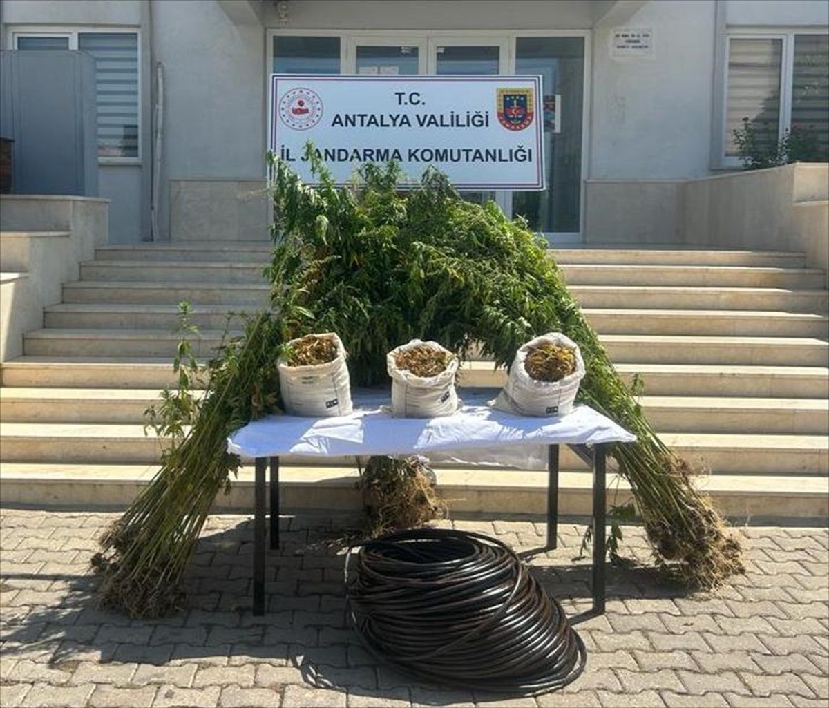 Antalya\'da Ormanlık Alanda Büyük Uyuşturucu Operasyonu