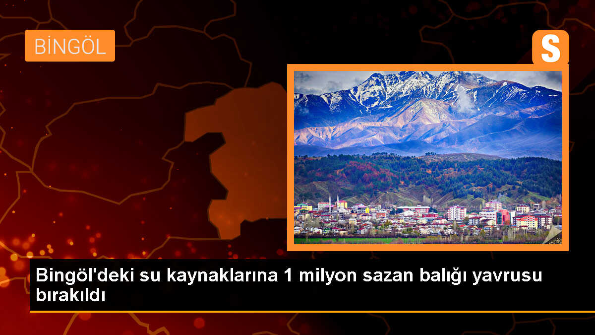 Bingöl\'de 7 su kaynağına 1 milyon sazan balığı yavrusu salındı