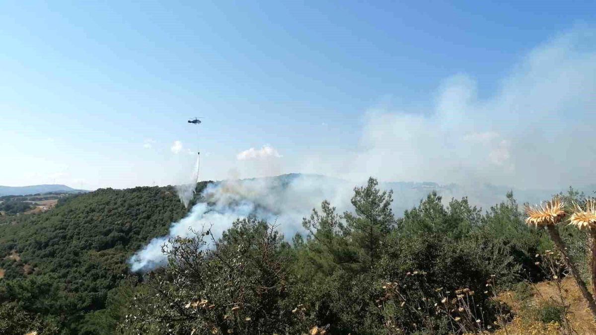 Çanakkale\'de Orman Yangını Kontrol Altına Alınıyor