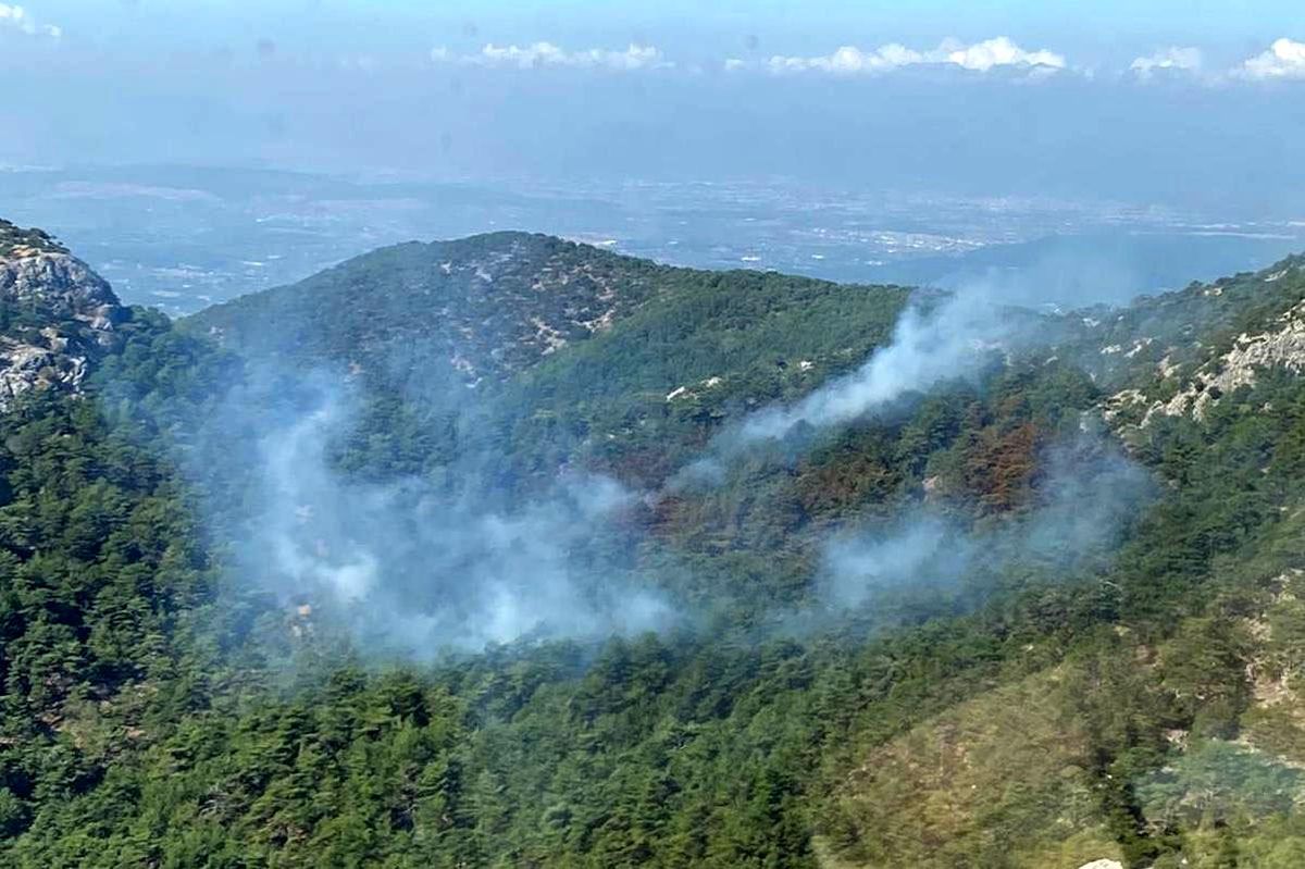 İzmir Kemalpaşa\'da Orman Yangını Kontrol Altına Alındı