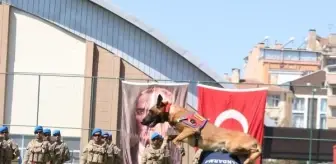 Nevşehir'de 30 Ağustos Zaferi törenleri düzenlendi