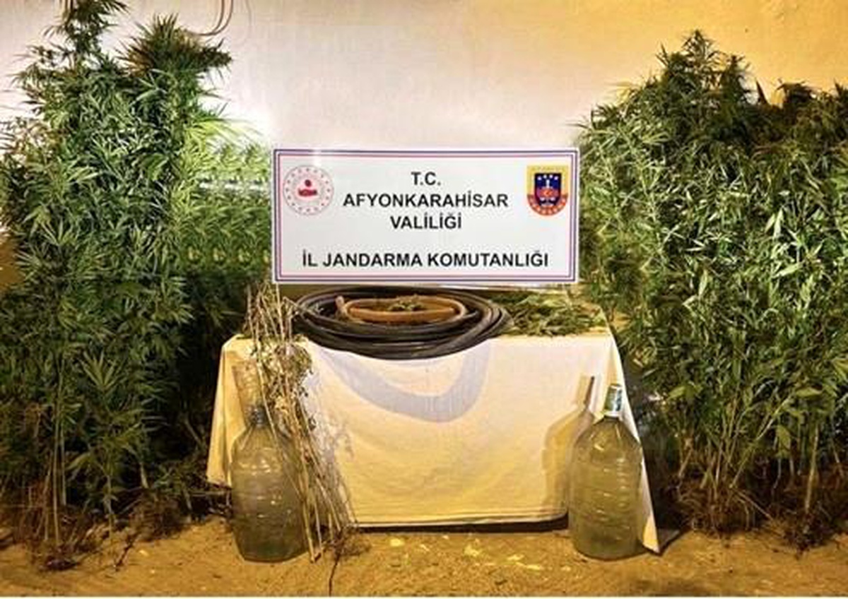 Afyonkarahisar\'da Esrar Üretimi Yapan Şahıslar Yakalandı