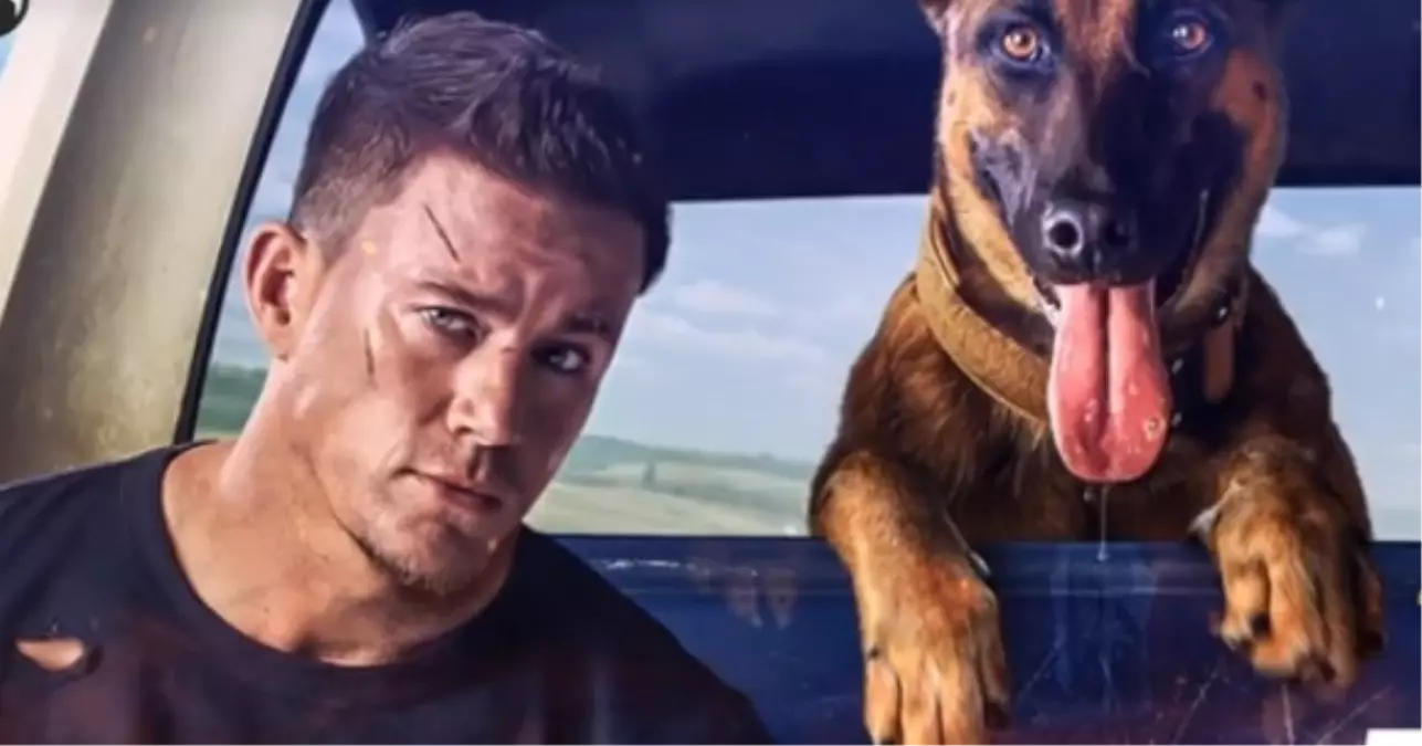 K-9 filmi oyuncuları kim? K-9 filmi konusu, oyuncuları ve K-9 özeti!