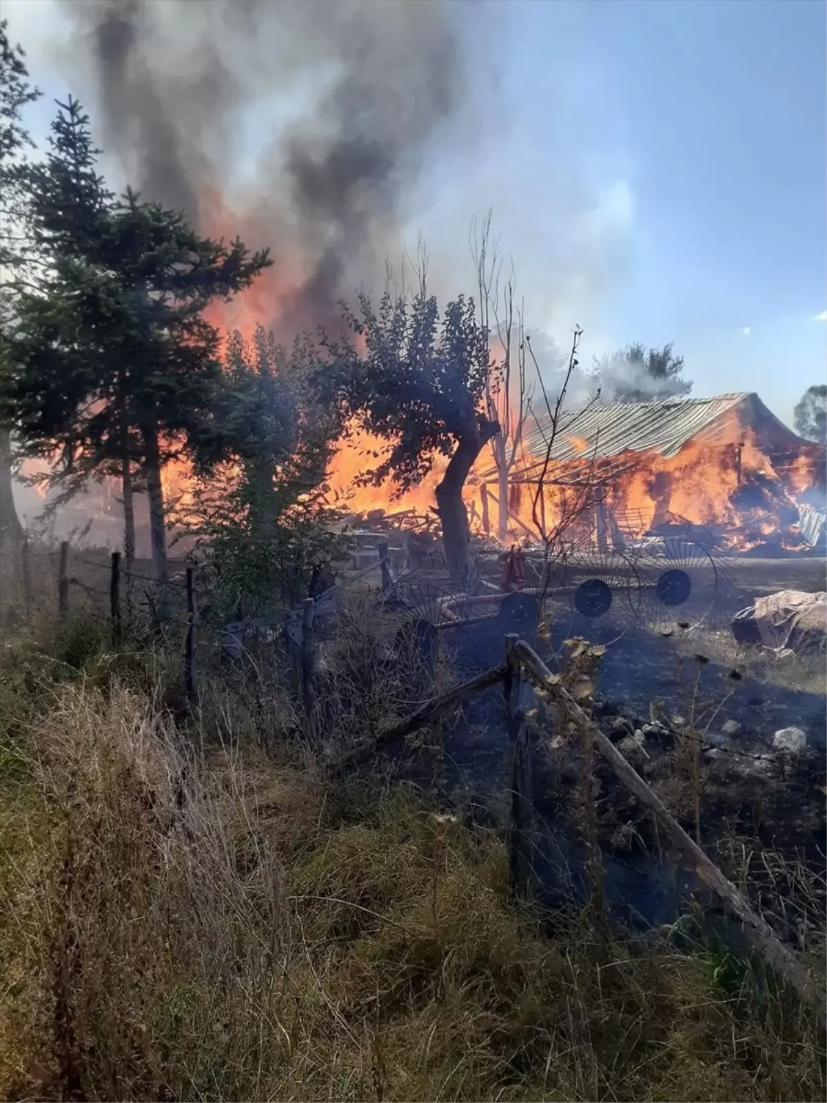 Kastamonu\'da çıkan yangında ahır, samanlık ve traktör zarar gördü