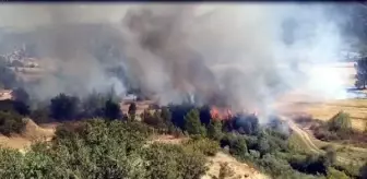 Tosya'da anız yangını kontrol altına alındı