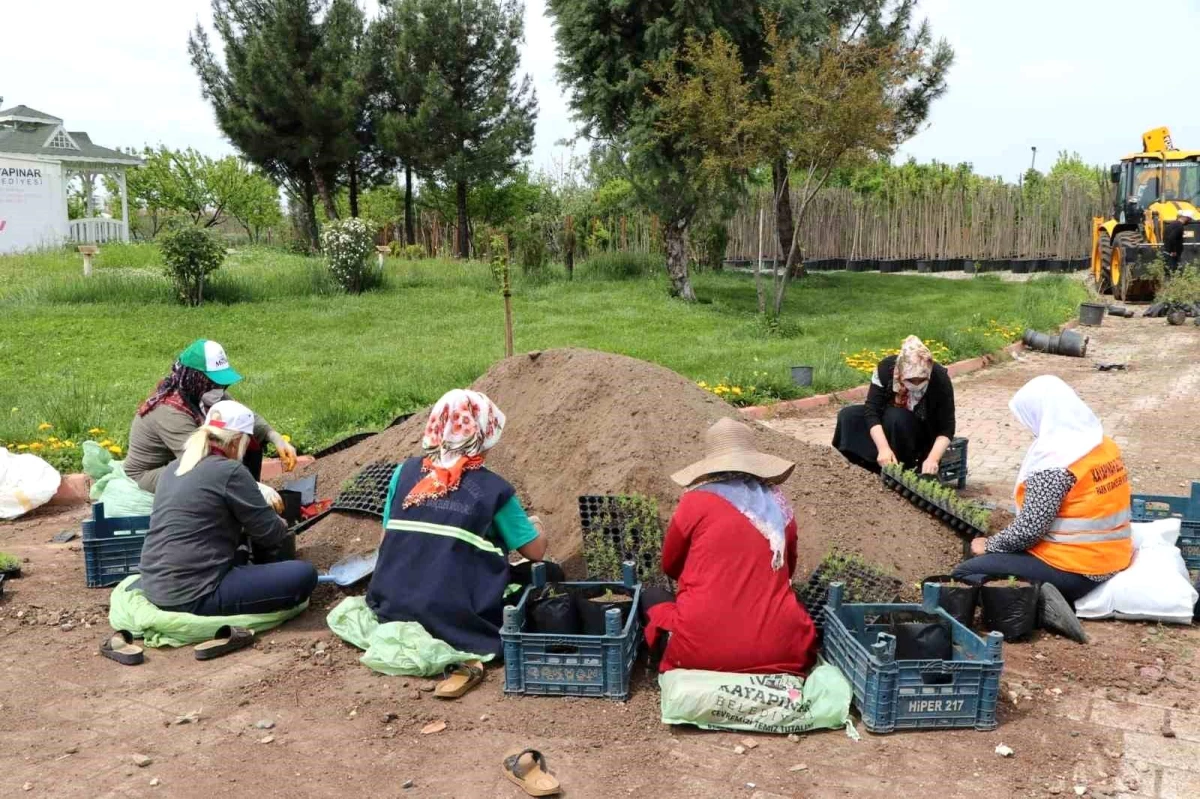 Diyarbakır Kayapınar Belediyesi Sera ve Fidanlık Alanında Ürettiği Bitkileri Satışa Sunuyor