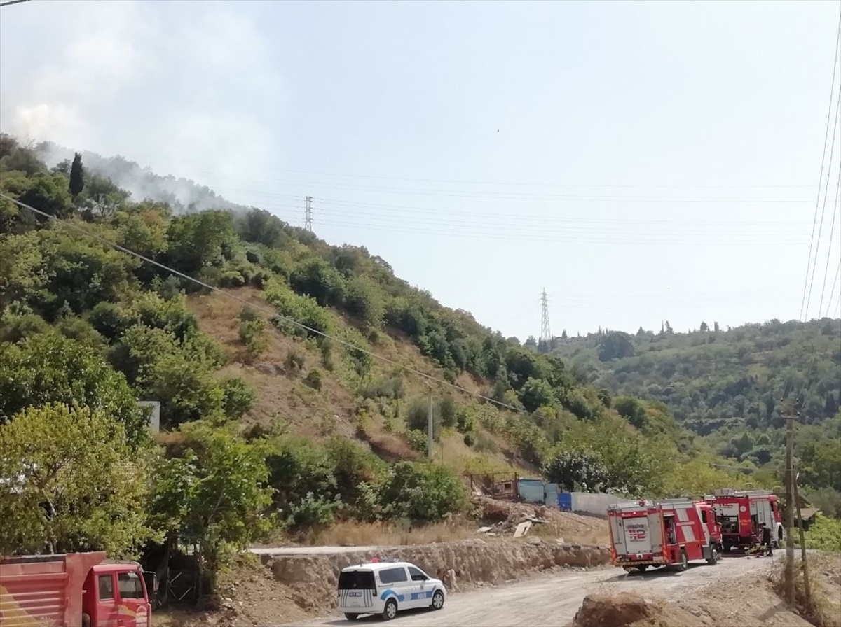 Kocaeli\'de ormanlık alanda çıkan yangın söndürüldü