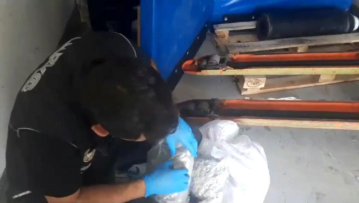 Osmaniye\'de tırda 145 kilo skunk ele geçirildi