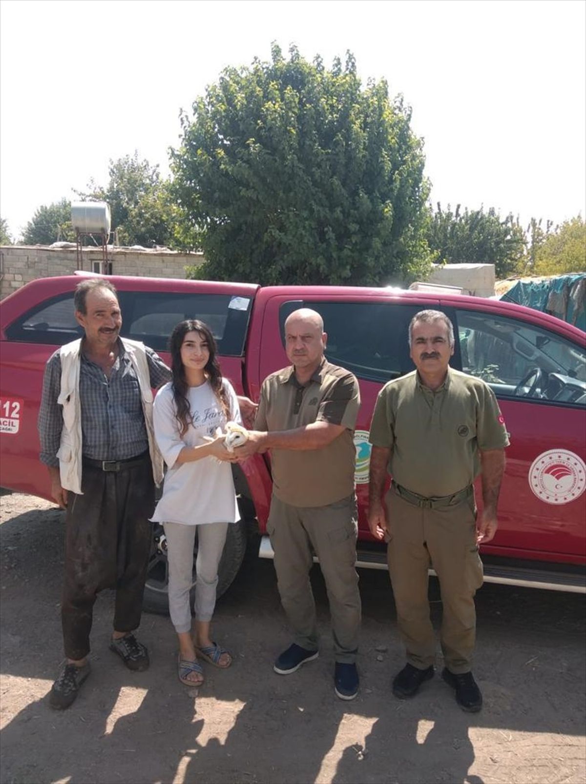 Şanlıurfa\'da yaralı halde bulunan peçeli baykuş tedavi altına alındı
