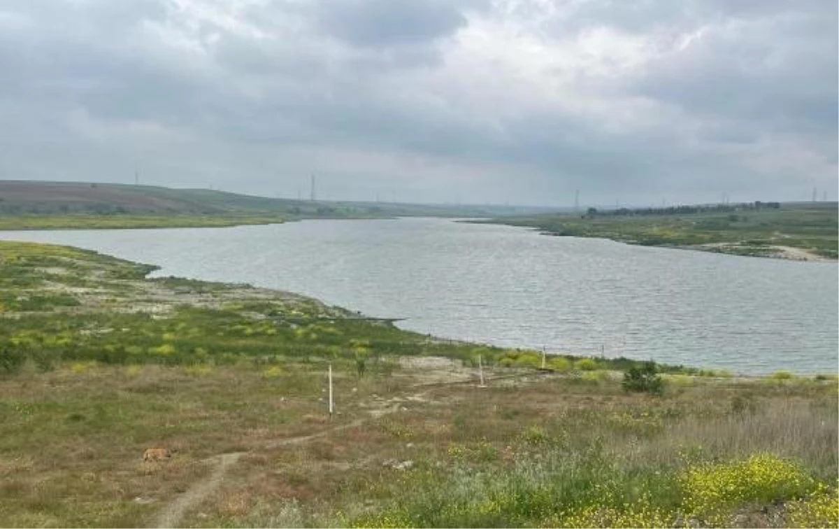 Trakya\'da Kuraklık ve Sıcaklar Nedeniyle Barajlardaki Doluluk Oranı Düştü