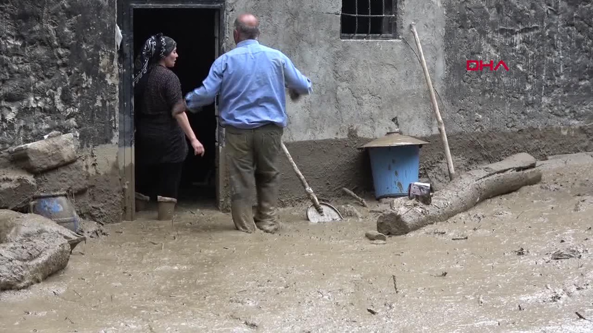 Yüksekova\'da sel felaketi: 2 at öldü, evler su altında kaldı