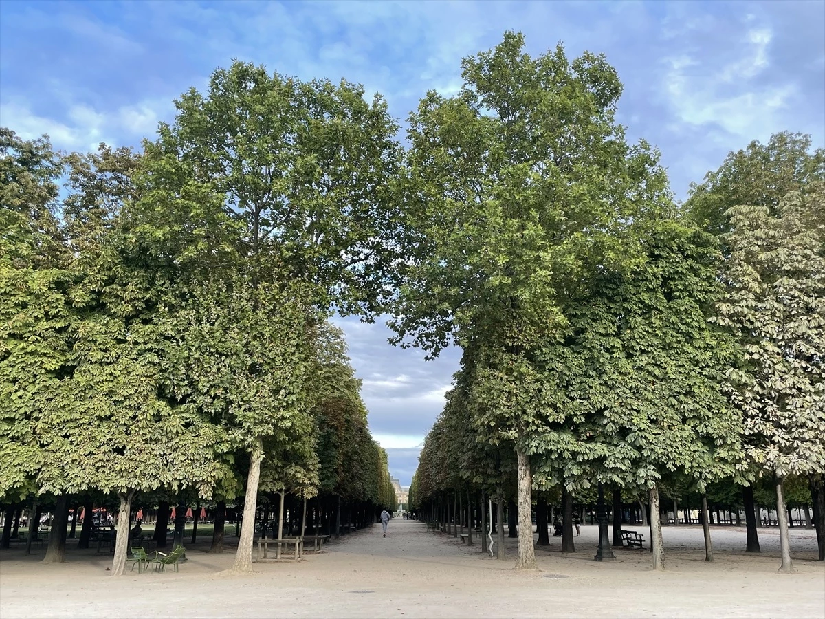 Paris\'in en eski yeşil alanı Tuileries Bahçesi